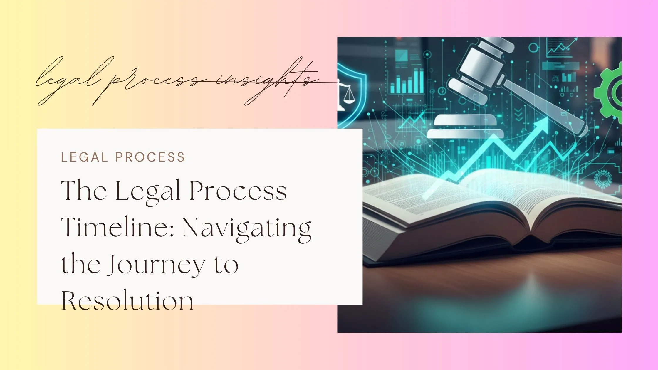 Legal Process Timeline