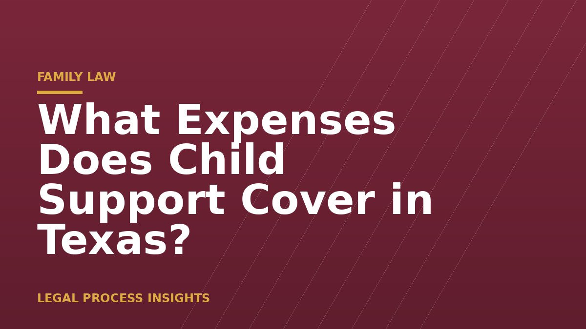 What Expenses Does Child Support Cover in Texas?